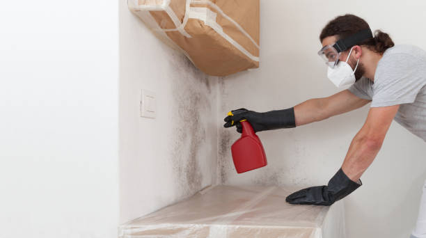 Attic Mold Remediation treatment on roof deck in Huntington